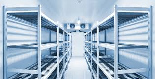 Frozen Storage: Powering Saudi Arabia’s Rapidly Expanding Cold Chain Industry